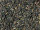 Darjeeling Blattmischung First Flush