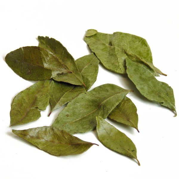 Curryblätter Tüte 10 Gramm